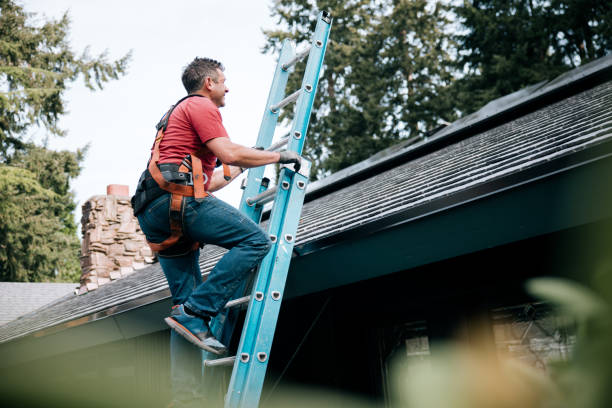 Best Storm Damage Roof Repair  in Sheffield Lake, OH